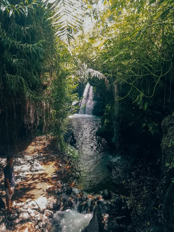 Sarang Walet Waterfall – The Hidden Underground Waterfall in Tetebatu