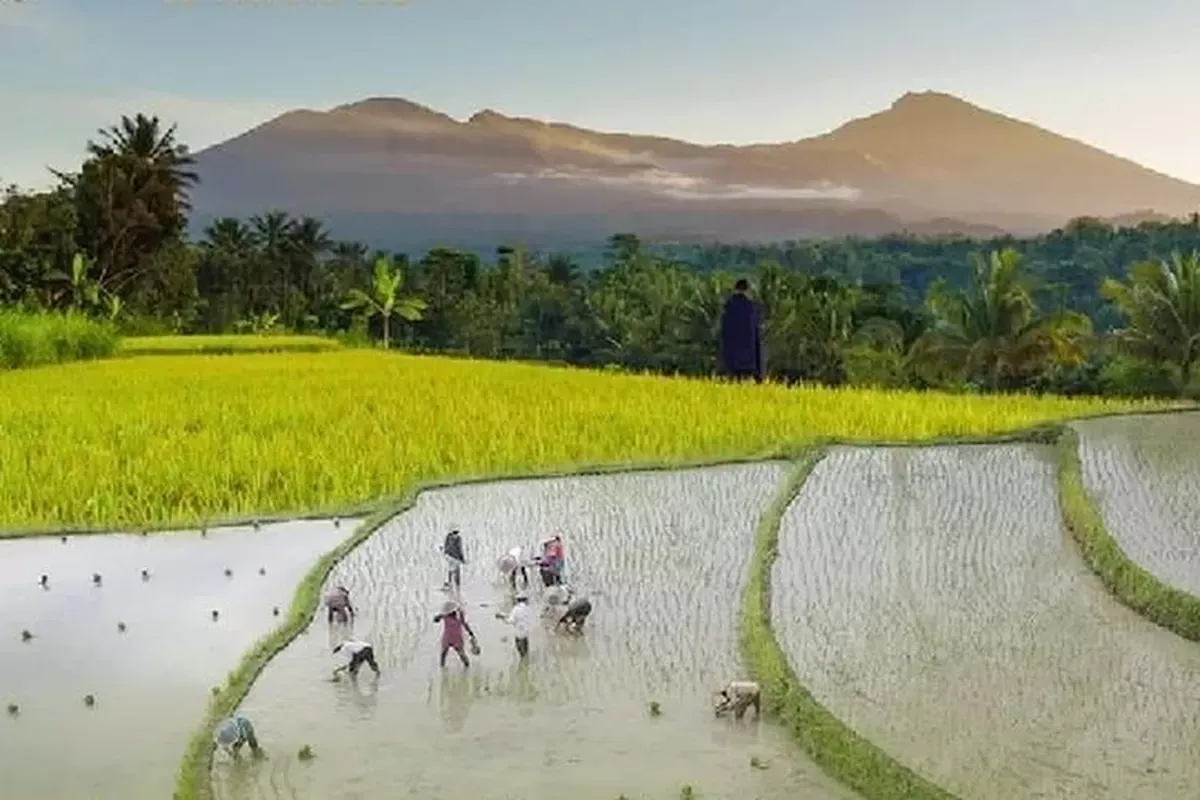 Tetebatu Tourism Village – Discover the Authentic Heart of Lombok