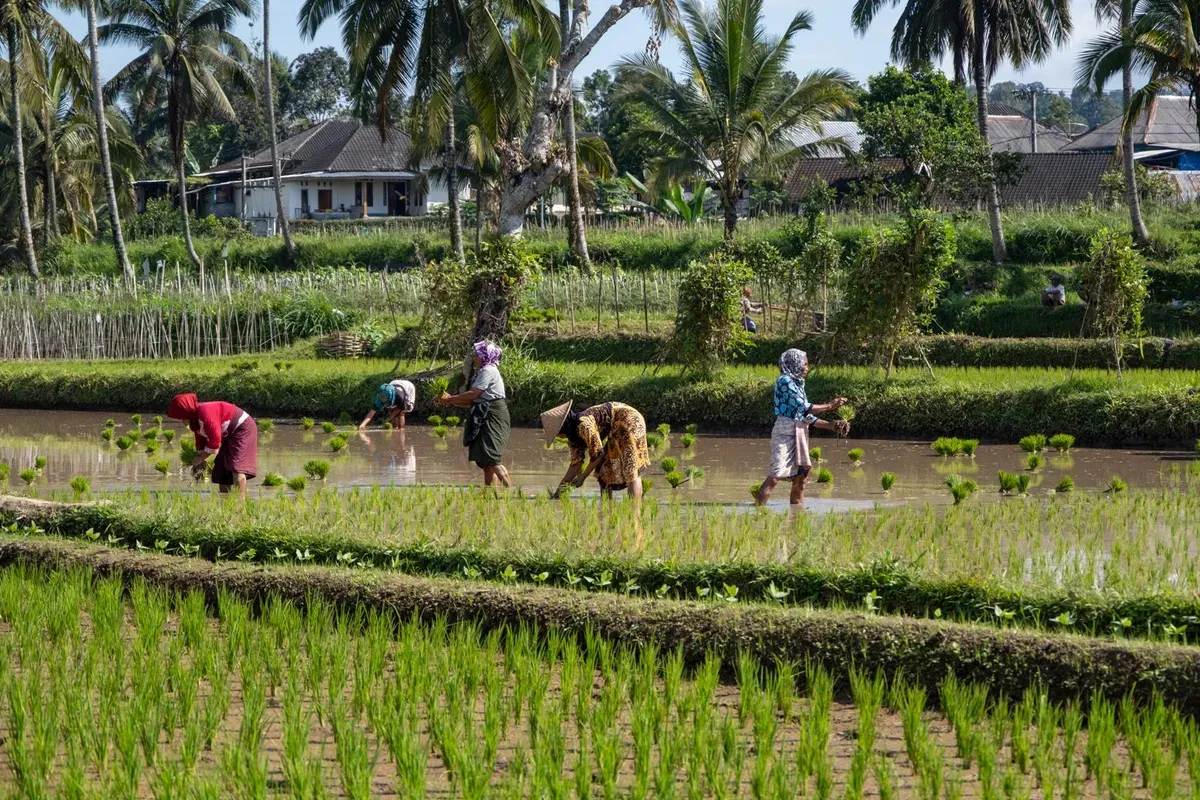 Tetebatu Experience Tour (Full Day)